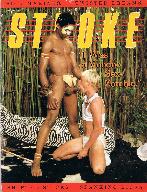 Stroke (gay magazine) issue 6-1 back issue for sale